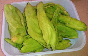 Karele Ki Sabzi Pakistani Food Recipe