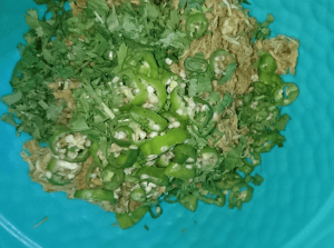 Chicken Kebab Pakistani Food Recipe8