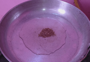 Chicken Malai Boti Pakistani Food Recipe2