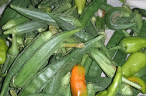 Crispy Masala Bhindi Pakistani Food Recipe