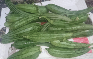 Tori Ki Sabzi Pakistani Food Recipe