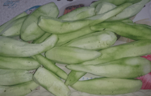 Tori Ki Sabzi Pakistani Food Recipe1