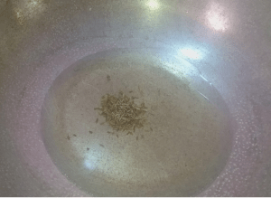 Tori Ki Sabzi Pakistani Food Recipe3