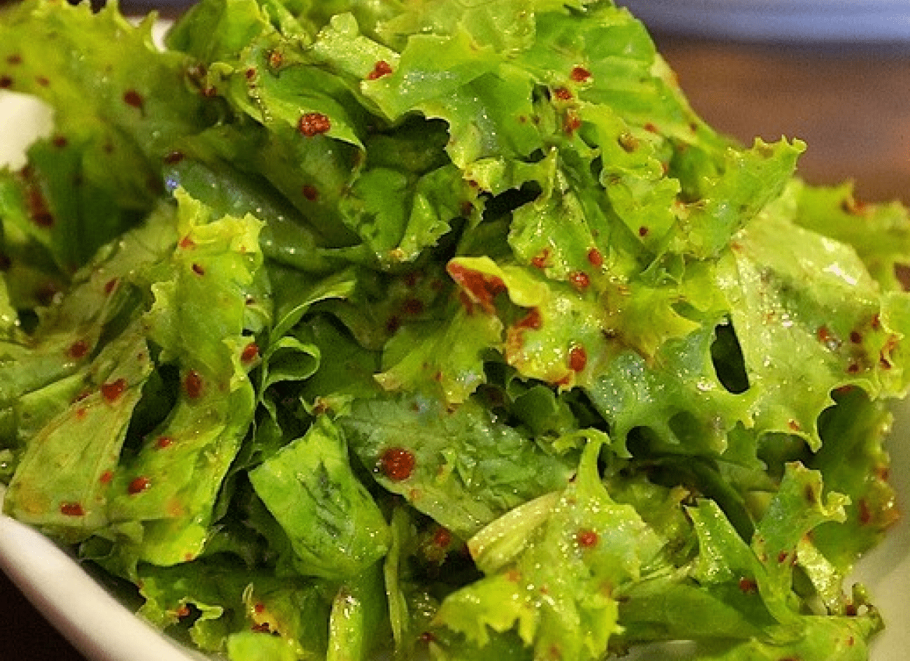 Korean Lettuce Salad