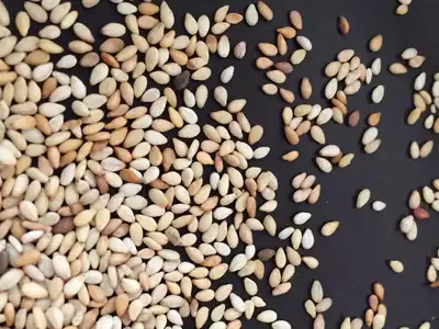 Which Role Of Sesame Seeds In Weight Loss Journey 