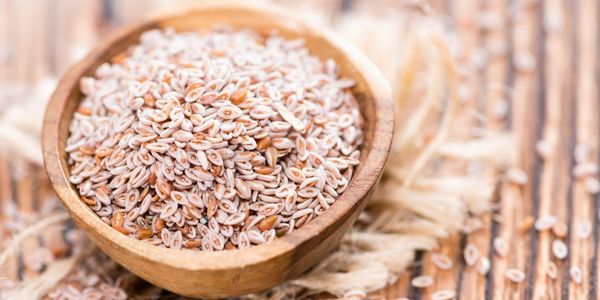 Healthy Benefits Of Psyllium Seed
