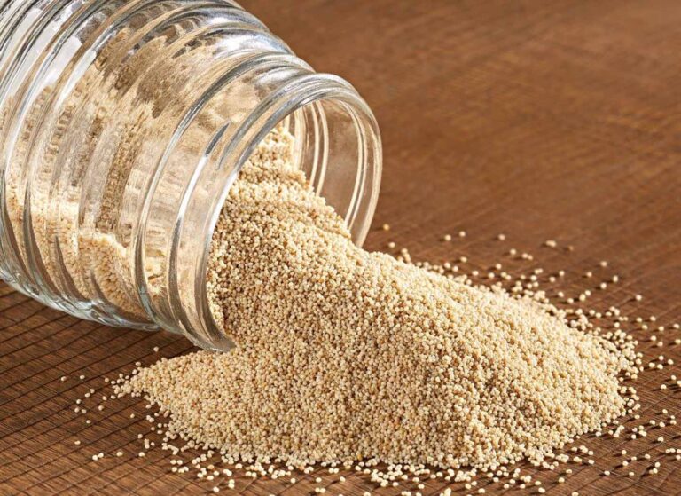 8 Impressive Benefits of Poppy Seeds Nutrition, Usage and More