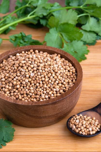 Amazing Healthy Benefits Of Coriander Seeds 