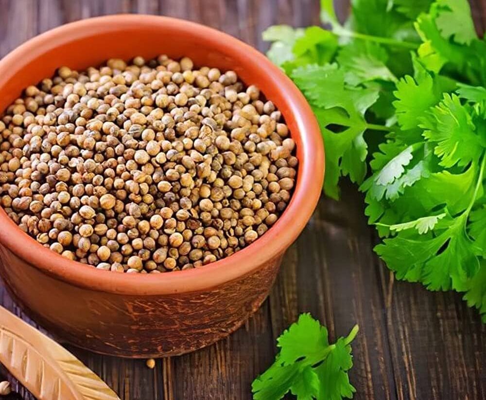 Amazing Healthy Benefits Of Coriander Seeds