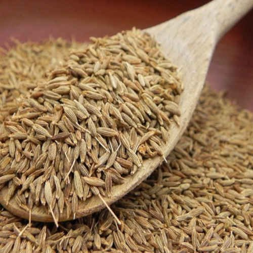 10 Amazing And Powerful Benefits Of Cumin Seeds: